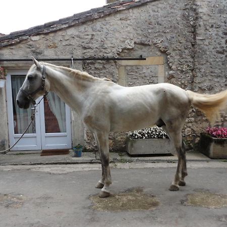Gite Des Ecuries Du Seillery La Clisse Exterior foto