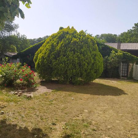 Gite Des Ecuries Du Seillery La Clisse Exterior foto