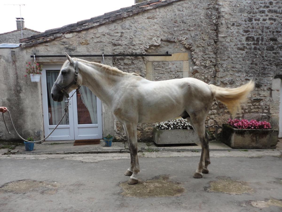 Gite Des Ecuries Du Seillery La Clisse Exterior foto